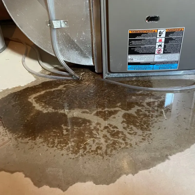 Pipe Burst and Leak Restoration in Ortonville, MN
